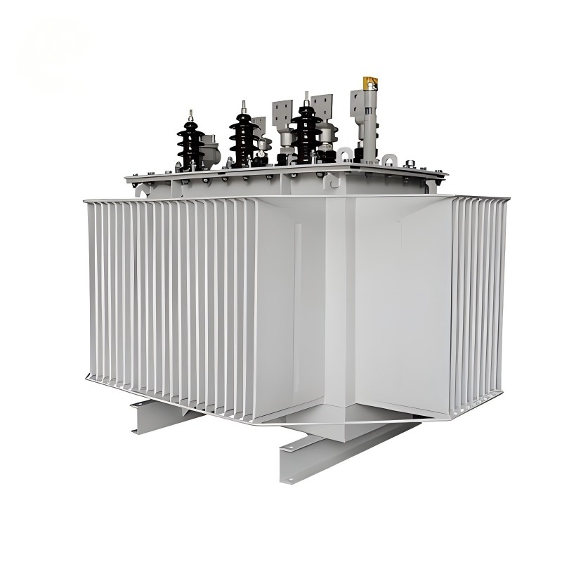 S20 serijos didelio efektyvumo alyvos panardinamasis maitinimo transformatorius 10 kV